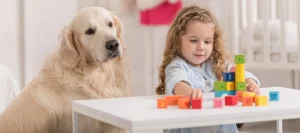Why Winston the Golden Retriever is a Must-Have for Kids